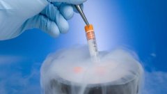 如何冷冻储存试管助孕胚胎
