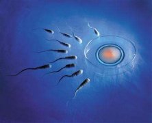 试管婴儿助孕移植囊胚适合人群