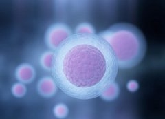 远播优育助孕专家详解抗卵巢抗体及其致病因素
