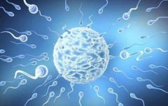精子质量不佳的男性选择助孕受精率可达99.9%以上