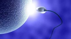 助孕夫妻男性精液分析是确定正常生育的几个因素