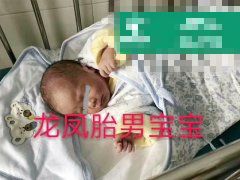 宝宝俊男靓女，福建周总定制龙凤胎宝宝诞生