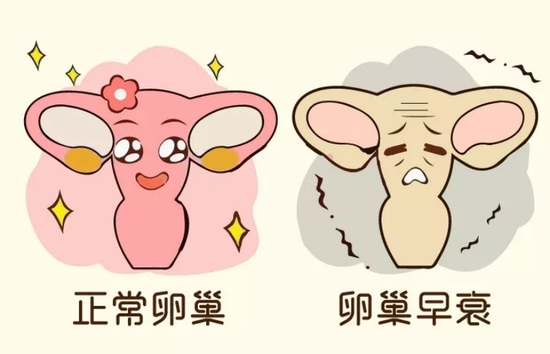 想怀孕卵子必须“美”，实用的养卵方法快get起来~