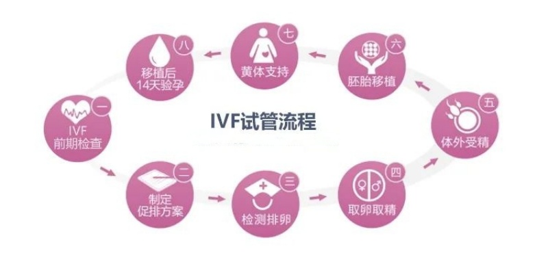 试管助孕全流程攻略：从促排到移植的6大关键节点
