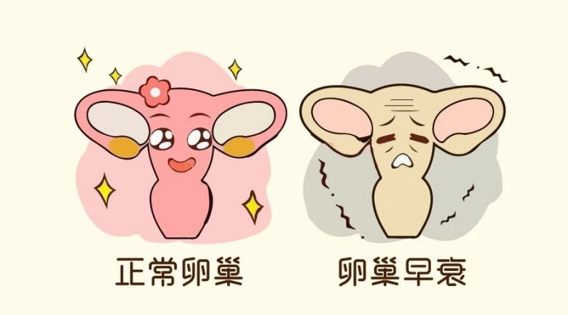 高龄要娃，试管助孕路好走吗？聊聊不同年龄的真实差异