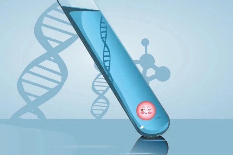 试管移植后，能不能正常上班？